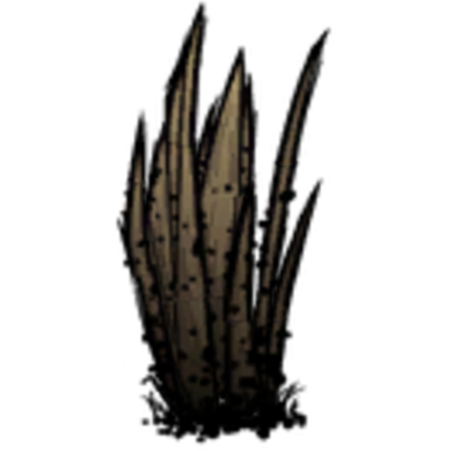 Project icon